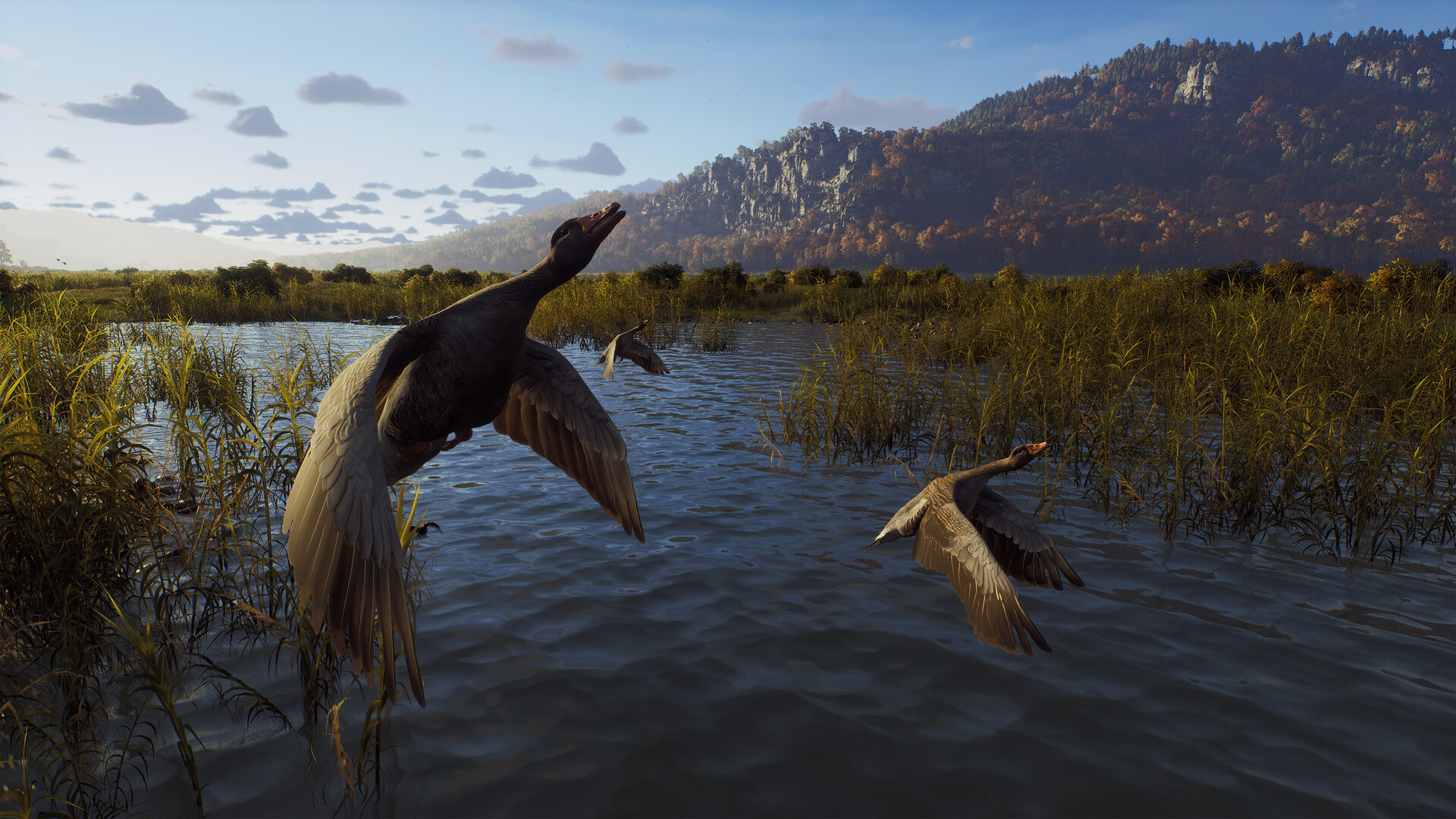 图片[6]-狩猎之道/猎人之路/Way of the Hunter-pp游戏仓库