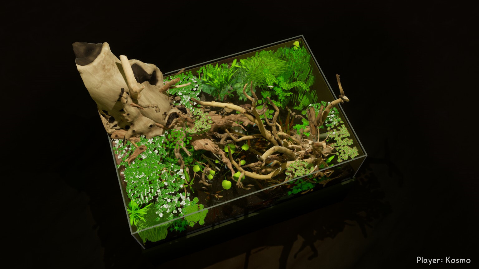 图片[4]-养鱼模拟器/Fish Game-pp游戏仓库